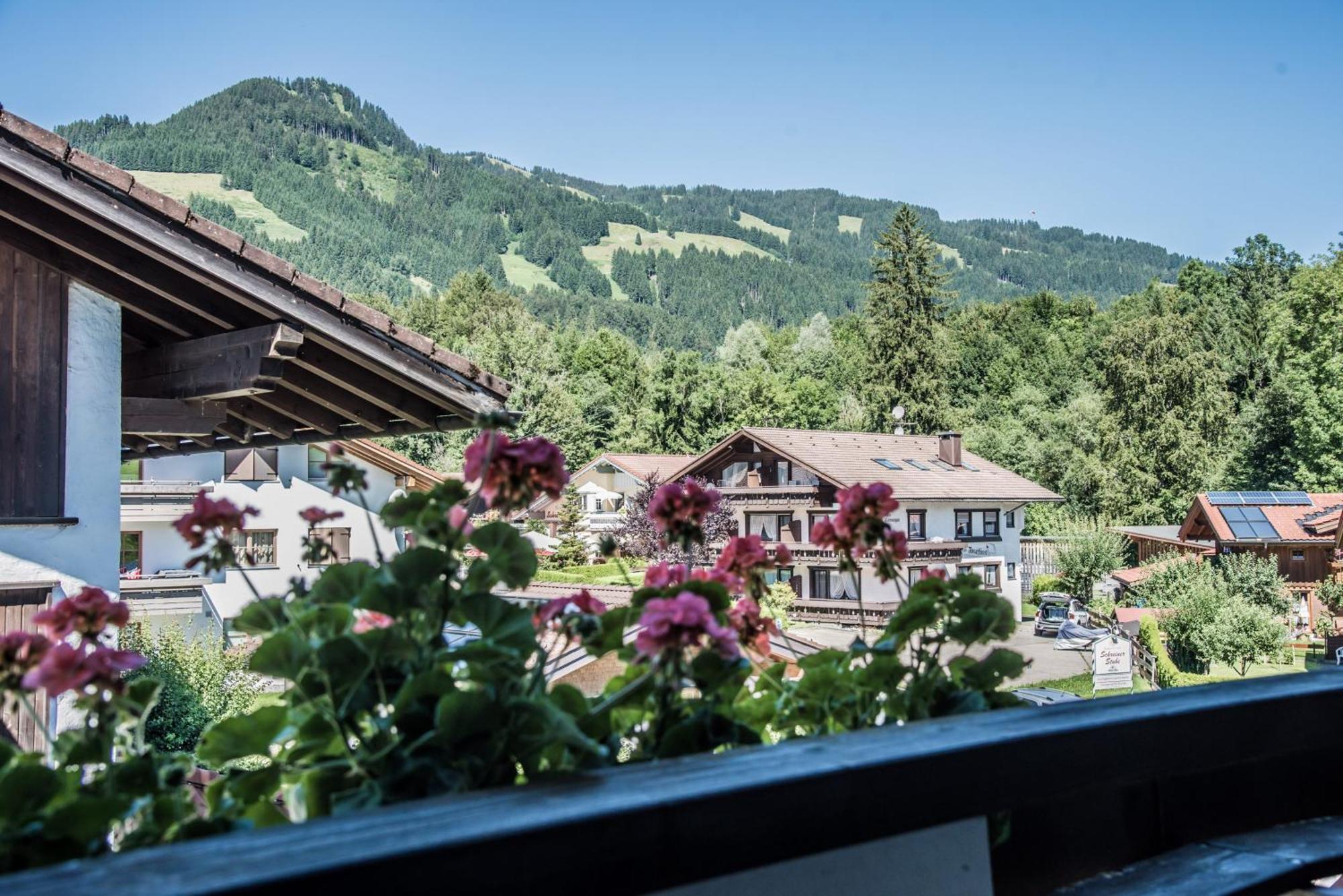 Haus Susanne - Top-Ferienwohnungen - Sommer-Bergbahn Inklusive Obermaiselstein Εξωτερικό φωτογραφία
