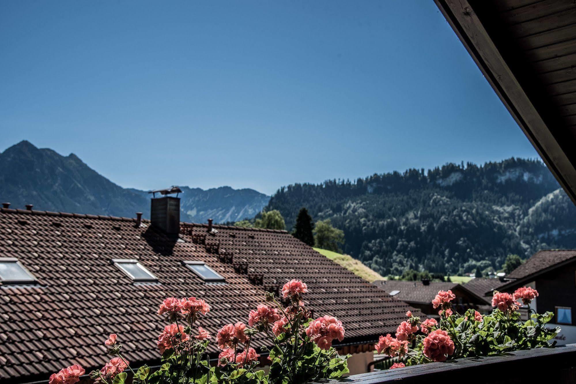 Haus Susanne - Top-Ferienwohnungen - Sommer-Bergbahn Inklusive Obermaiselstein Εξωτερικό φωτογραφία